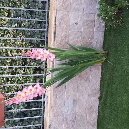 Дом отдыха Casa Con Giardino Ольбия